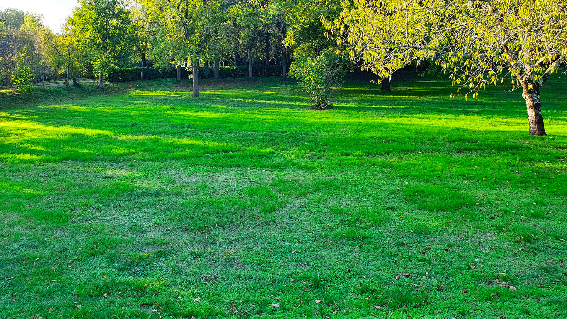 TERRAIN SAINT-YRIEIX (16710) Réf : 02